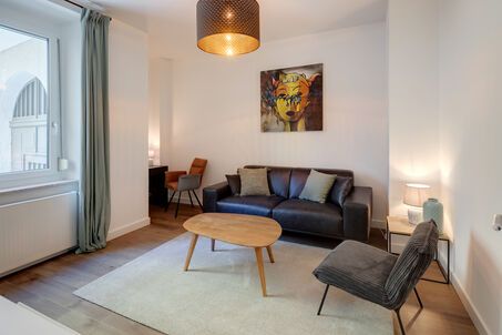 https://www.mrlodge.com/rent/2-room-apartment-munich-schwanthalerhoehe-12479