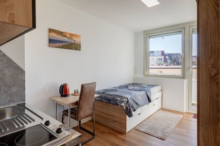 https://www.mrlodge.com/rent/1-room-apartment-munich-maxvorstadt-12510