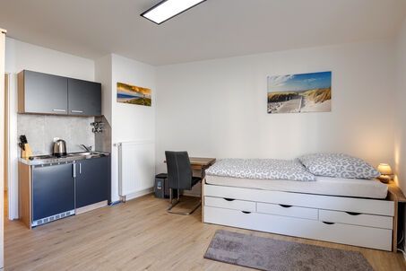 https://www.mrlodge.com/rent/1-room-apartment-munich-maxvorstadt-12660