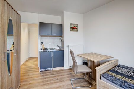 https://www.mrlodge.com/rent/1-room-apartment-munich-maxvorstadt-12795