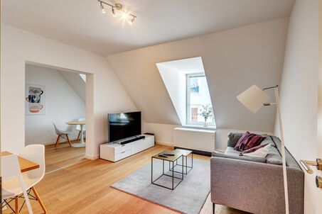 https://www.mrlodge.com/rent/2-room-apartment-munich-maxvorstadt-12923