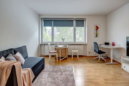 https://www.mrlodge.com/rent/1-room-apartment-munich-maxvorstadt-13092