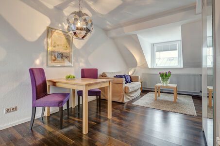 https://www.mrlodge.com/rent/1-room-apartment-munich-maxvorstadt-1321