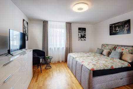 https://www.mrlodge.com/rent/1-room-apartment-munich-hasenbergl-13712