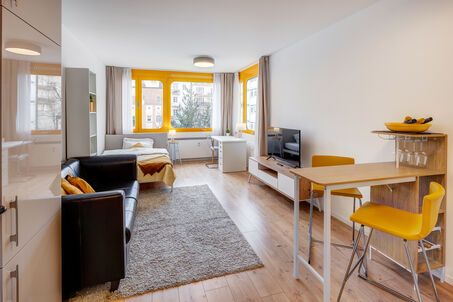 https://www.mrlodge.com/rent/1-room-apartment-munich-maxvorstadt-13800
