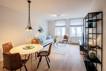 https://www.mrlodge.com/rent/3-room-apartment-munich-maxvorstadt-13925