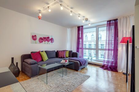https://www.mrlodge.com/rent/2-room-apartment-munich-maxvorstadt-1681
