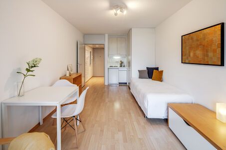 https://www.mrlodge.com/rent/1-room-apartment-munich-isarvorstadt-2543