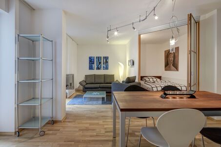 https://www.mrlodge.com/rent/1-room-apartment-munich-maxvorstadt-2690