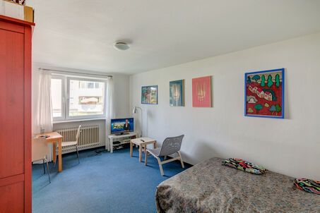 https://www.mrlodge.com/rent/1-room-apartment-munich-obergiesing-2713