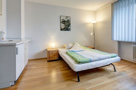 https://www.mrlodge.com/rent/1-room-apartment-munich-maxvorstadt-2768