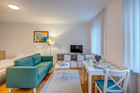 https://www.mrlodge.com/rent/1-room-apartment-munich-obergiesing-2823