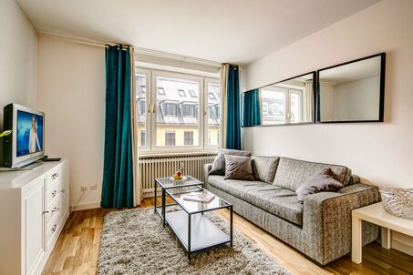 https://www.mrlodge.com/rent/1-room-apartment-munich-maxvorstadt-3023