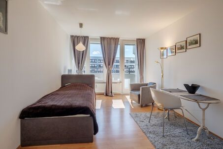 https://www.mrlodge.com/rent/1-room-apartment-munich-au-haidhausen-3740