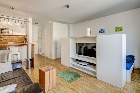 https://www.mrlodge.com/rent/1-room-apartment-munich-maxvorstadt-4815