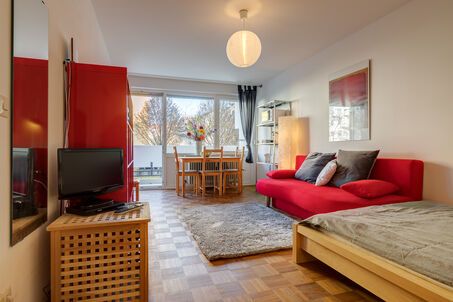 https://www.mrlodge.com/rent/1-room-apartment-munich-maxvorstadt-4985