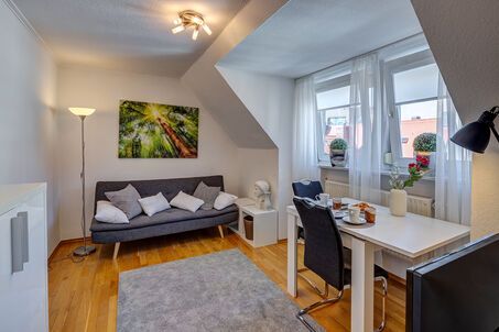 https://www.mrlodge.com/rent/1-room-apartment-munich-altstadt-5396