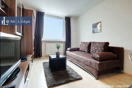https://www.mrlodge.com/rent/1-room-apartment-munich-isarvorstadt-5954