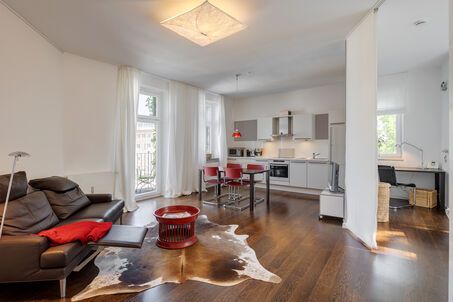 https://www.mrlodge.com/rent/2-room-apartment-munich-maxvorstadt-6058