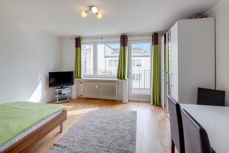 https://www.mrlodge.com/rent/1-room-apartment-munich-maxvorstadt-6112