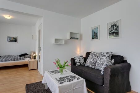 https://www.mrlodge.com/rent/1-room-apartment-munich-maxvorstadt-6205