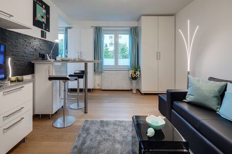https://www.mrlodge.com/rent/1-room-apartment-munich-maxvorstadt-6245