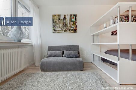 https://www.mrlodge.com/rent/1-room-apartment-munich-isarvorstadt-6528