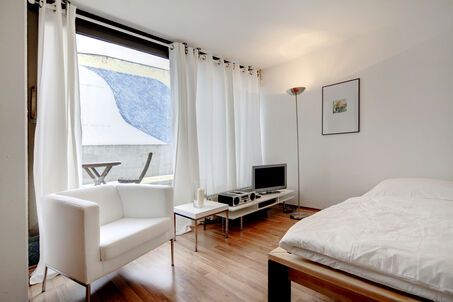 https://www.mrlodge.com/rent/1-room-apartment-munich-maxvorstadt-6694