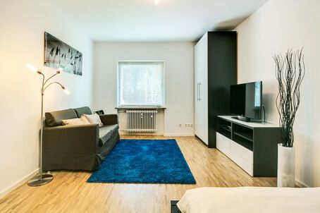 https://www.mrlodge.com/rent/1-room-apartment-munich-au-haidhausen-7101