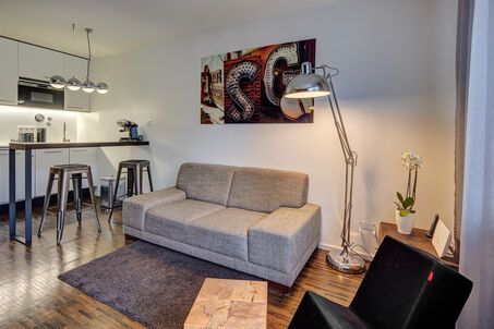 https://www.mrlodge.com/rent/1-room-apartment-munich-maxvorstadt-7107