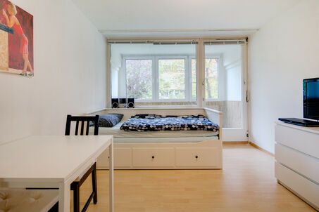 https://www.mrlodge.com/rent/1-room-apartment-munich-neuhausen-7267