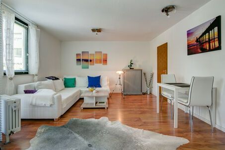 https://www.mrlodge.com/rent/1-room-apartment-munich-freimann-7822