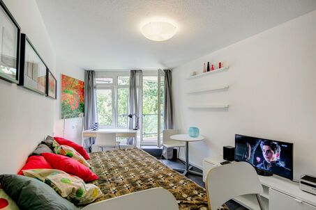 https://www.mrlodge.com/rent/1-room-apartment-munich-maxvorstadt-7910
