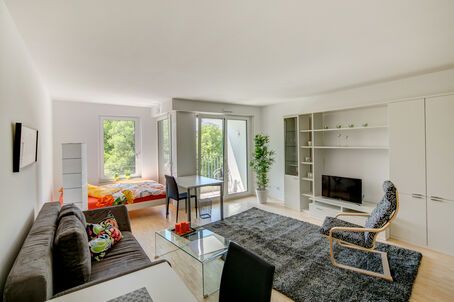 https://www.mrlodge.com/rent/1-room-apartment-munich-obergiesing-8006