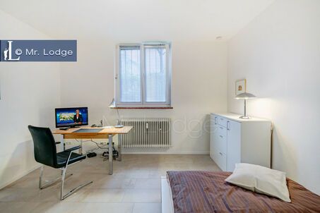 https://www.mrlodge.com/rent/1-room-apartment-munich-giesing-8140