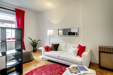 https://www.mrlodge.com/rent/1-room-apartment-munich-neuhausen-8347