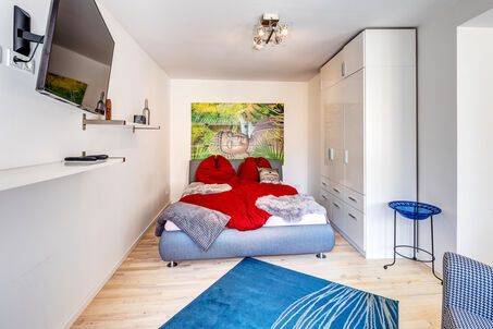 https://www.mrlodge.com/rent/1-room-apartment-munich-au-haidhausen-8758