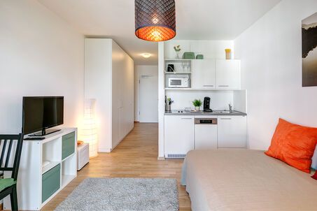 https://www.mrlodge.com/rent/1-room-apartment-munich-au-haidhausen-9380