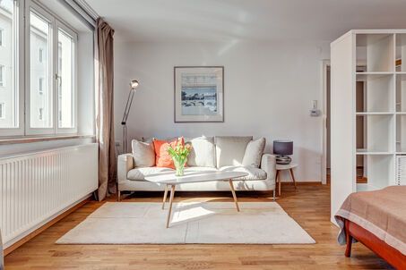 https://www.mrlodge.com/rent/1-room-apartment-munich-maxvorstadt-9459