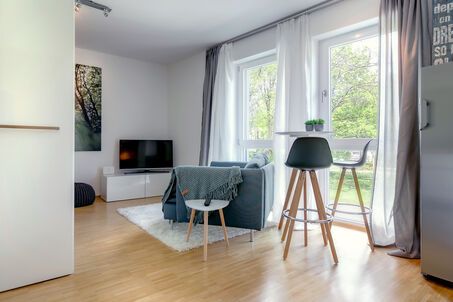 https://www.mrlodge.com/rent/1-room-apartment-munich-milbertshofen-9993