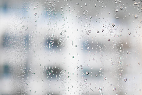 The photo shows a window with condesation moisture