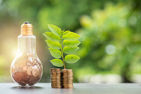 The photo shows a lighbulb filled with coins, next to a green plant