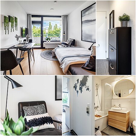 Apartment 11768 ID 11768: