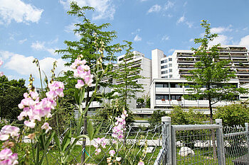 The photo shows the apartment buildings in the Olympic village with flowers in the foreground
