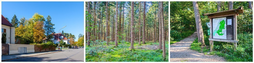 Photos of the surroundings in Harlaching