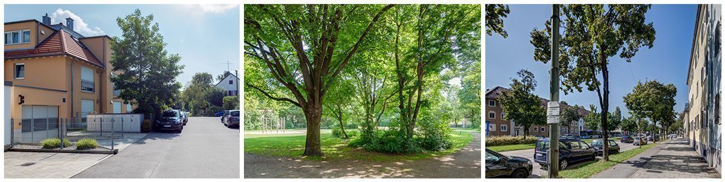 Photos of the surroundings of the Waldfriedhof district